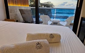 Camino Palmero Coveñas